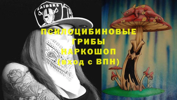 бошки Абаза