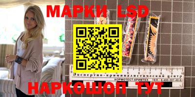 прущие грибы Ставрополь