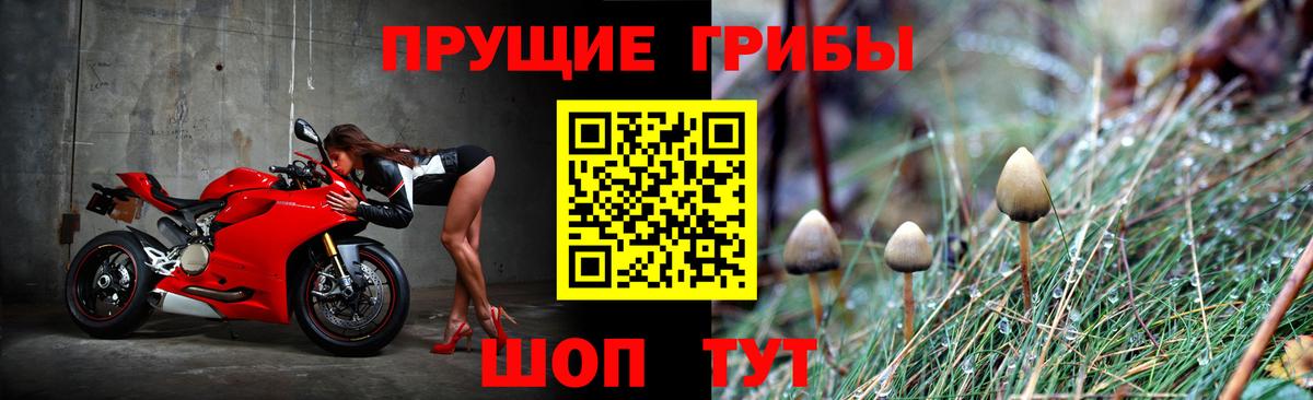 Уфа  Галлюциногенные грибы Psilocybine cubensis  Псилоцибиновые грибы GOLDEN TEACHER  Вход с VPN 